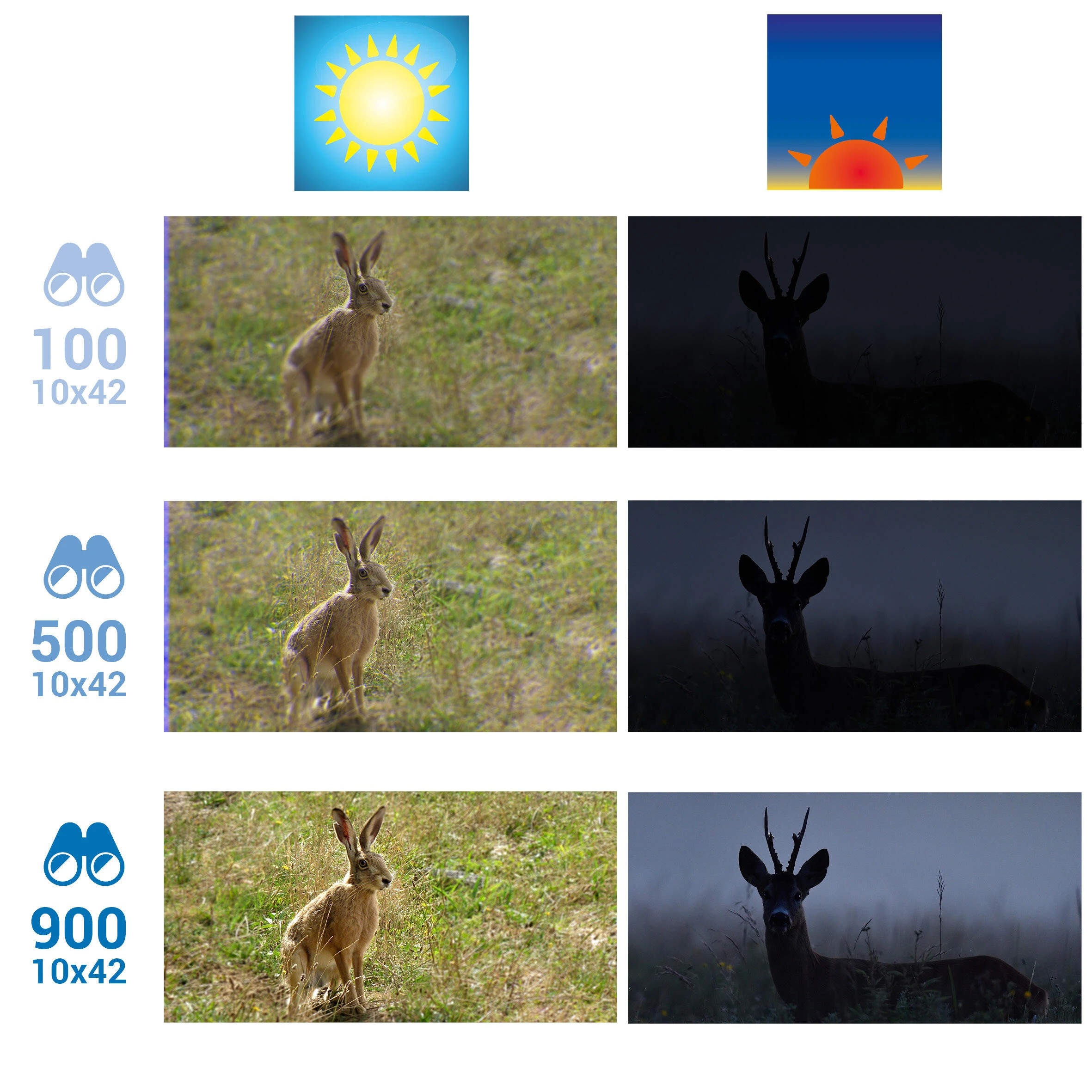 SOLOGNAC 100 Hunting Binoculars - Image 11