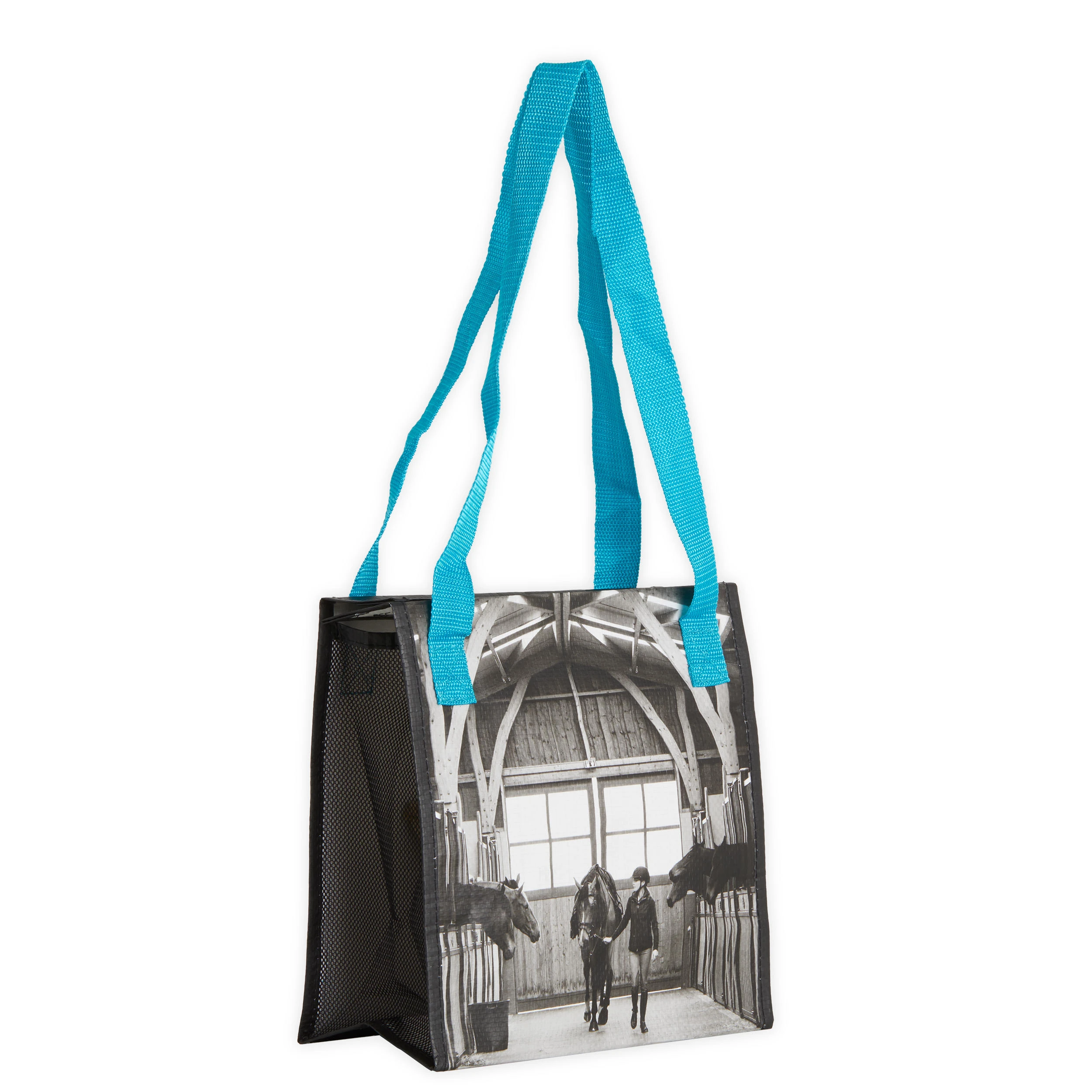 FOUGANZA Adult Grooming Kit - Turquoise - Image 2