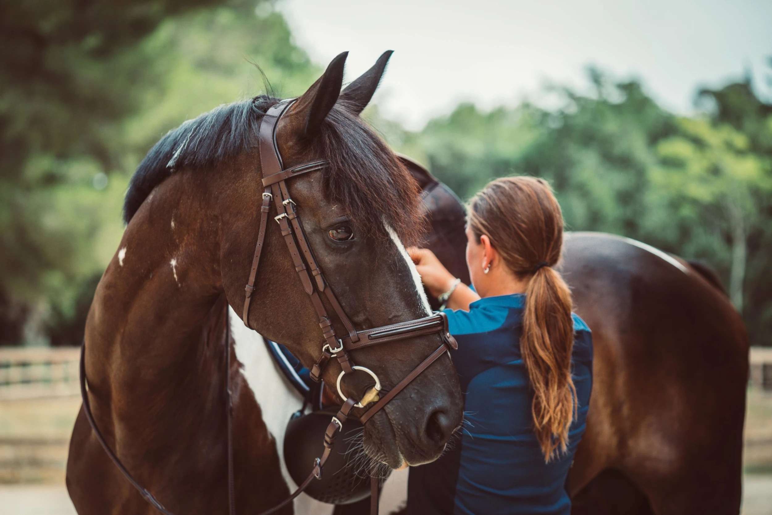 FOUGANZA Women's Horse Riding Short-Sleeved Mesh Polo Shirt 500 - Slate Blue - Image 7