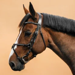 FOUGANZA XNB 580 Bridle With Grackle Noseband